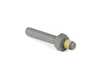 ES#253918 - 11117787559 - BEARING BOLT - (NO LONGER AVAILABLE) - Genuine BMW - 