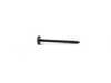 ES#99146 - 51417040559 - Bolt - Priced Each - ST4.2 X 52MM , To attach the interior door panel to the door. - Genuine MINI - MINI