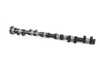 ES#22388 - 11317833223 - Camshaft - Controls intake valve timing for efficient airflow and engine performance. - Genuine BMW - BMW