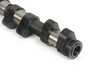 ES#22388 - 11317833223 - Camshaft - Controls intake valve timing for efficient airflow and engine performance. - Genuine BMW - BMW