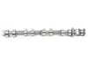 ES#2698844 - 11317604875 - BMW Inlet Camshaft - Genuine BMW - BMW