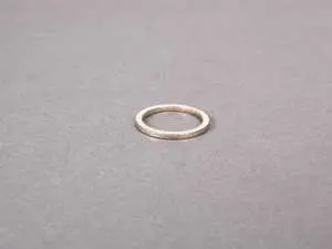 Gasket Ring