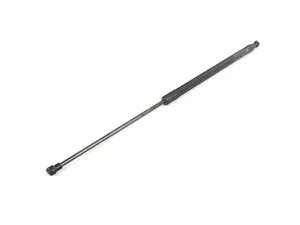 GAS PRESSURIZED SPRING, TRUN