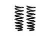 ES#3699257 - E10-20-022-04-20 - Eibach Pro-Kit Performance Springs - Set of 2 - Average lowering of 1.2" Front - Eibach - BMW