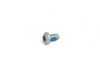 ES#242410 - 36317678083 - OVAL HEAD SCREW - Genuine BMW - BMW MINI