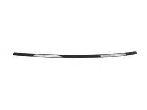 ES#2797867 - 51138061449 - ROOF MOLDING PAINTED LEFT - Genuine BMW - BMW