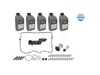 ES#4772639 - 1001350115 - DSG Transmission Service Kit - 5 Liters - Includes new filters & transmission pan gasket with securing hardware. Includes enough fluid to drain and fill. - Meyle - Audi