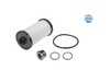ES#4772697 - 1001350102/SK - DSG Filter Kit - Includes a new filter, gasket, and drain/fill plug - Meyle - Audi Volkswagen