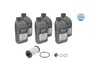 ES#4772700 - 1001350102 - DSG Service Kit - 6 Liters - Includes a new filter, gasket, and drain/fill plug. Includes enough fluid to drain and fill. - Meyle - Audi Volkswagen