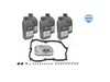 ES#4772805 - 1001350107 - Automatic Transmission Filter Kit - 6 Liters - Includes a new filter & gasket with securing hardware. Includes enough fluid to drain and fill. - Meyle - Volkswagen