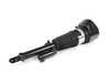 ES#4185312 - 37107915969 - AIR SPRING STRUT, FRONT LEFT - Genuine BMW - BMW