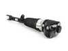 ES#4185312 - 37107915969 - AIR SPRING STRUT, FRONT LEFT - Genuine BMW - BMW