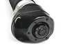 ES#4185312 - 37107915969 - AIR SPRING STRUT, FRONT LEFT - Genuine BMW - BMW