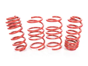 APR Roll-Control Lowering Springs