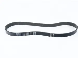 Multi Rib Belt 6Kx895 5060353
