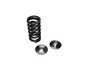 ES#4780587 - 034-201-8022 - Supertech Valve Spring & Titanium Retainer Set - Enhancing the power output of your 3.0T - Supertech - Audi