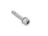 ES#4004622 - N91168901 - Rear Caliper Carrier Bolt - Priced Each - Holds rear caliper carrier to spindle. M12x1.5x65 - Rein - Audi Volkswagen