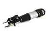 ES#4780848 - AS-2788 - Front Air Suspension Strut - Left - Front Axle, Left Side - Arnott - Mercedes Benz