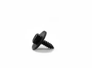 Trim Screw - Priced Each 