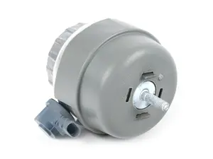 Engine Mount - Right