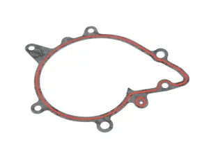 Water Pump Gasket