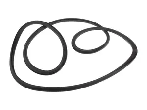 Windshield Seal