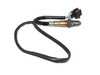 ES#3560413 - 95560617800 - Post-Catalyst Oxygen Sensor - Priced Each - Fitment after the catalyst on either side - 2 required - Hamburg Tech - Porsche
