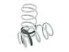 ES#4643541 - CTS-LS-009 - CTS Lowering Spring Set - MK8 GTI - Average lowering front: 1.0" rear: 0.8" - CTS - Volkswagen