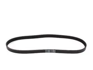 A/C Compressor Belt