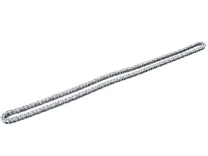 Lower Engine Timing Chain
