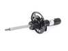 ES#4182724 - 31316879314 - Spring Strut - Front Right - Genuine BMW - BMW