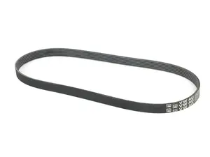 Accessory Belt
