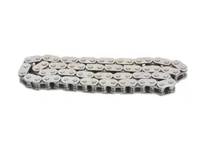 Lower Timing Chain
