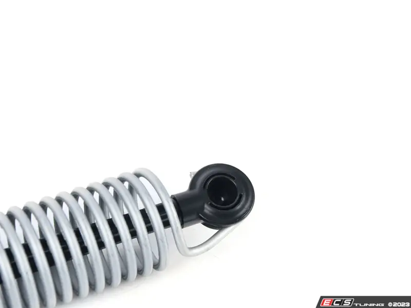 Genuine BMW - 51247395173 - RETURN SPRING, TRUNK LID, RI (51-24-7 