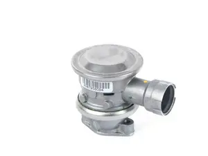 Secondary Air Injection Valve 