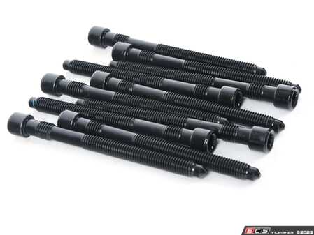 ES#4768291 - 077103385D-10 - Cylinder Head Bolt - Set Of 10 - 10 per cylinder head - Victor Reinz - Audi
