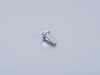 ES#2976945 - 07147305206 - THREADED WELDING STUD - Genuine BMW - BMW MINI