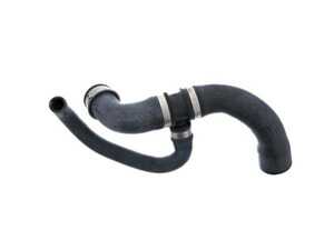 ES#4346057 - 9065013282 - Radiator Hose - Lower - Febi - Mercedes Benz