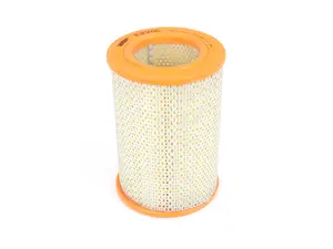 Engine Air Filter