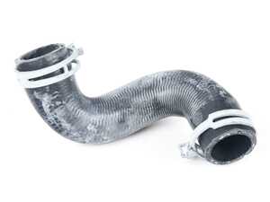 ES#4673556 - 17127617368 - Hose From Radiator Bottom - Thermostat CHR0800 - Located near the thermostat - Rein - BMW MINI
