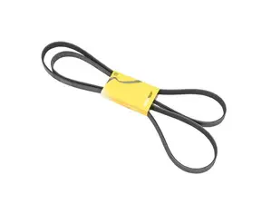 Multi-Rib Accessory Belt