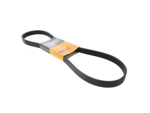 Drive Belt