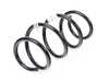 ES#3553801 - 31336873388 - FRONT COIL SPRING - Genuine BMW - BMW
