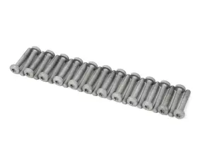 Torx Bolt - Set Of 23