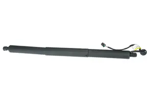 Tailgate Lift Support