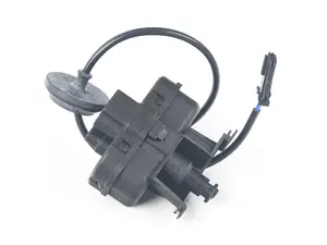 Fuel Door Actuator