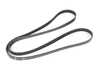 ES#4398982 - 99610215168 - Accessory Belt (2115 MM) - Accessory drive belt for cars with air conditioning (I573 option code) - Genuine Porsche - Porsche