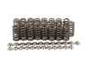 ES#4726778 - BC0326 - B58 Beehive Spring & Titanium Retainer Kit - Brian Crower - 