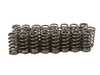 ES#4726778 - BC0326 - B58 Beehive Spring & Titanium Retainer Kit - Brian Crower - 