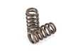 ES#4726778 - BC0326 - B58 Beehive Spring & Titanium Retainer Kit - Brian Crower - 